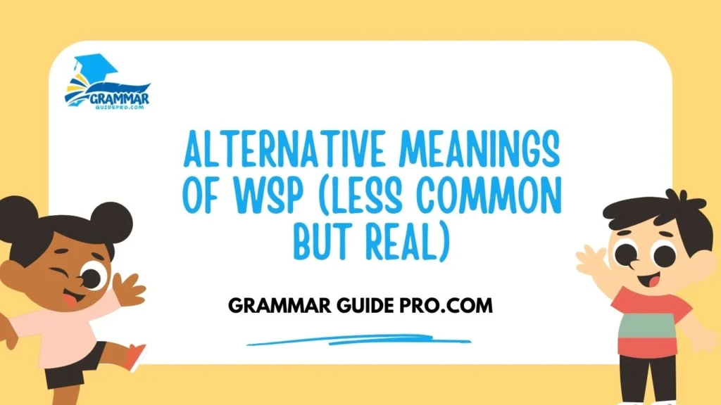 Alternative Meanings of WSP (Less Common but Real)