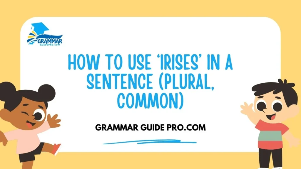 How to Use ‘Irises’ in a Sentence (Plural, Common)