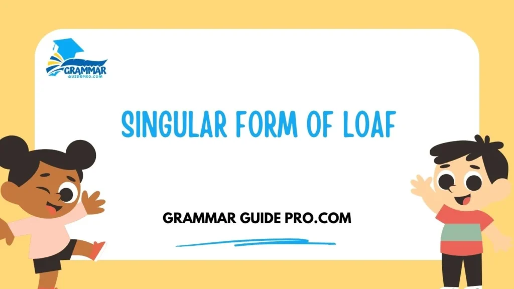 Singular Form of Loaf