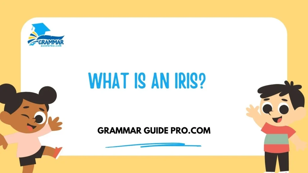 What Is an Iris?