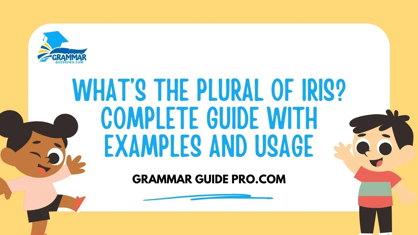 What’s the Plural of Iris? Complete Guide with Examples and Usage