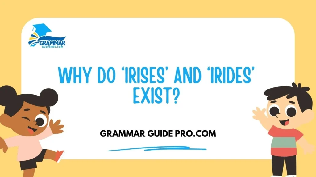 Why Do ‘Irises’ and ‘Irides’ Exist?