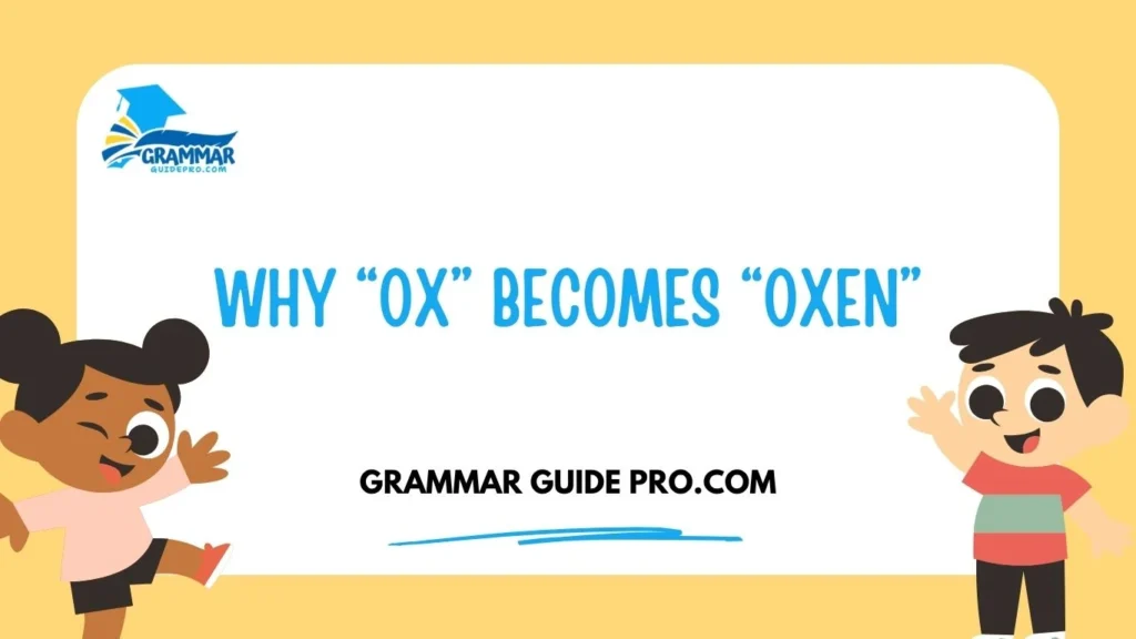 Why “Ox” Becomes “Oxen”