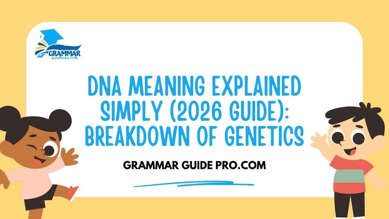 DNA Meaning Explained Simply (2026 Guide): Breakdown of Genetics