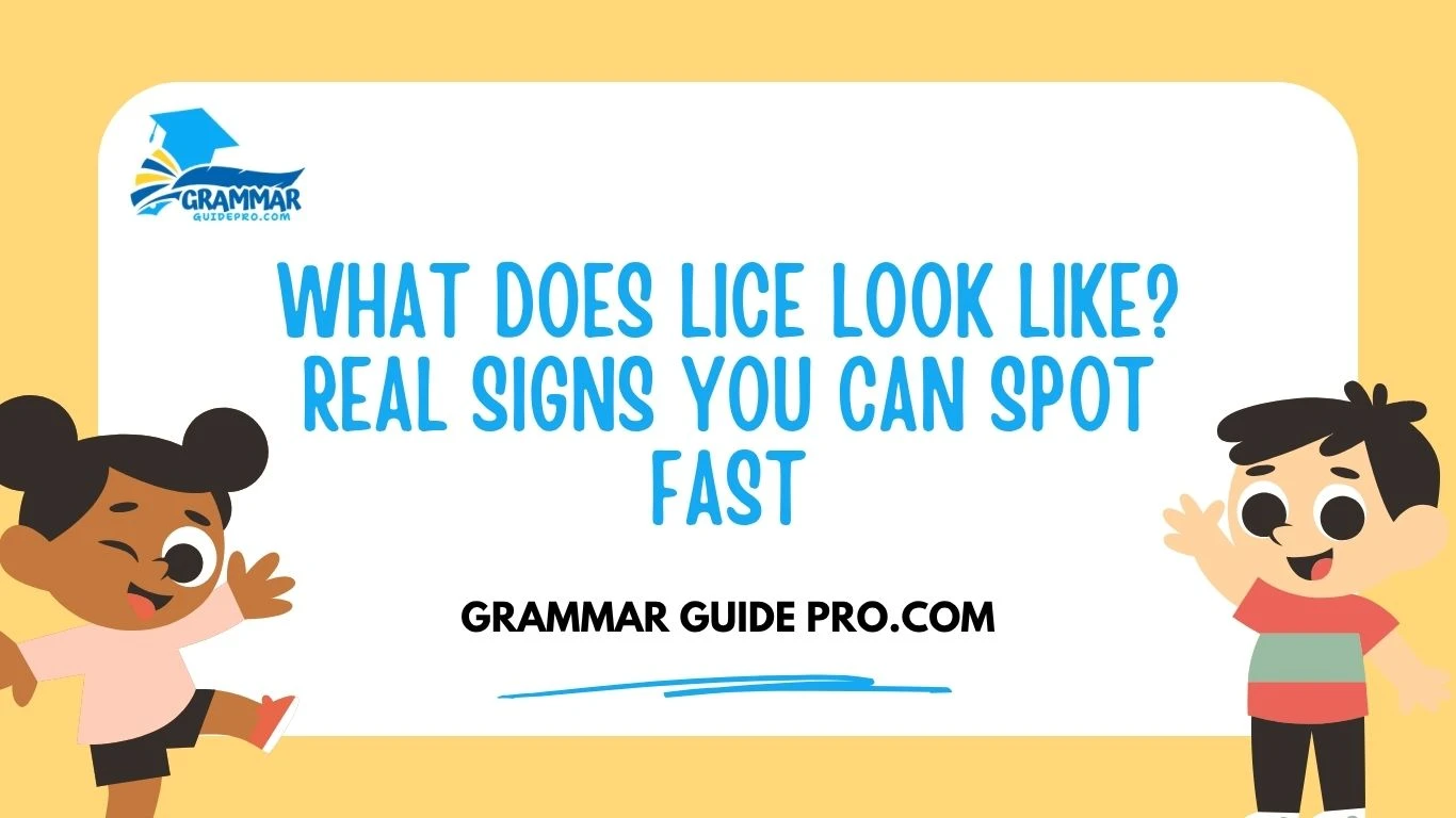 What Does Lice Look Like? Real Signs You Can Spot Fast